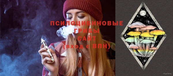 тгк Армянск