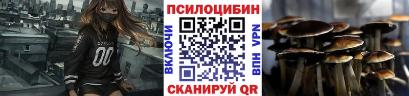 Галлюциногенные грибы прущие грибы  закладки  omg ONION  Звенигород 